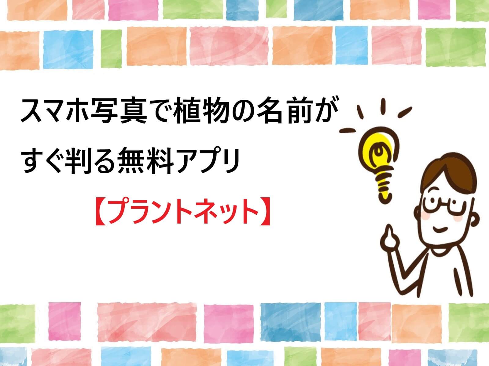 プラントネット スマホ写真で植物の名前がすぐわかる無料アプリをご紹介 プラントネット スマホ写真で植物の名前がすぐわかる無料アプリをご紹介